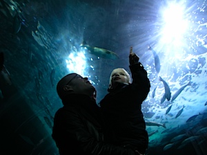 P1010128.JPG