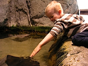 P1010149.JPG