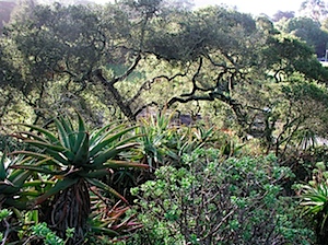PC220256.JPG