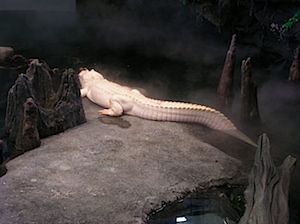 PC240381.JPG