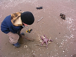 PC240447.JPG