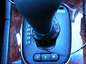 P1050022.JPG
