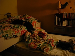 P1090045.JPG