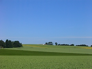 141_4163-20050626.JPG