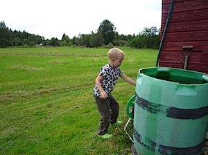 P1000929.JPG