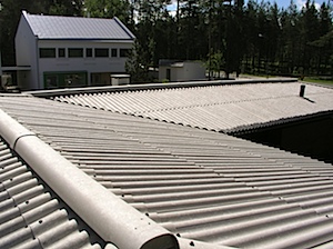 P6210995.jpg