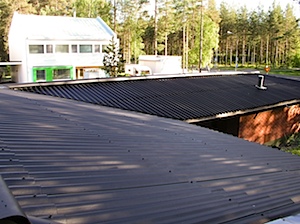 P6231056.jpg