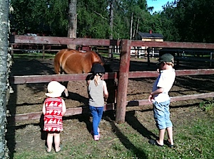 IMG_0401.JPG