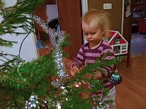 P1020188.jpg